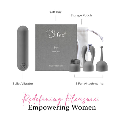 FAE set with bullet vibrator, three attachments, storage pouch, and gift packaging clearly presented.
